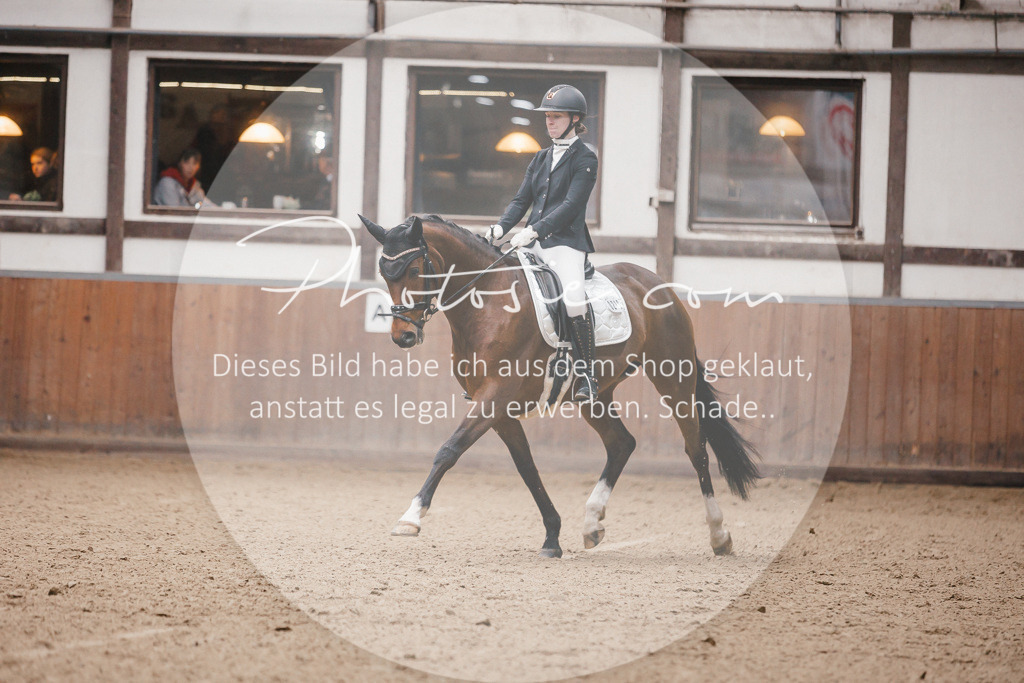 3I6A6596 | Stimmungsvolle Portraits und Reitsportfotografie im Ruhrgebiet und im Münsterland.

Pferdefotografie, Hundefotografie, Tierfotografie, Reportagen, Portraits von Tier und Mensch, Turnierfotografie in Bochum, Recklinghausen, Marl, Haltern am See, Dülmen.. - Realisiert mit Pictrs.com