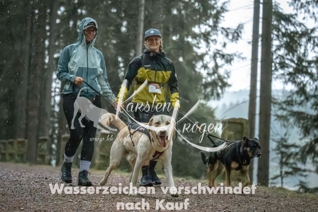 0836_ZZ92201 | kk-dogfotos