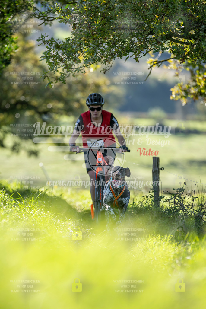 MompixPhotography_20TSB_E3_DS1-79 | PayLife