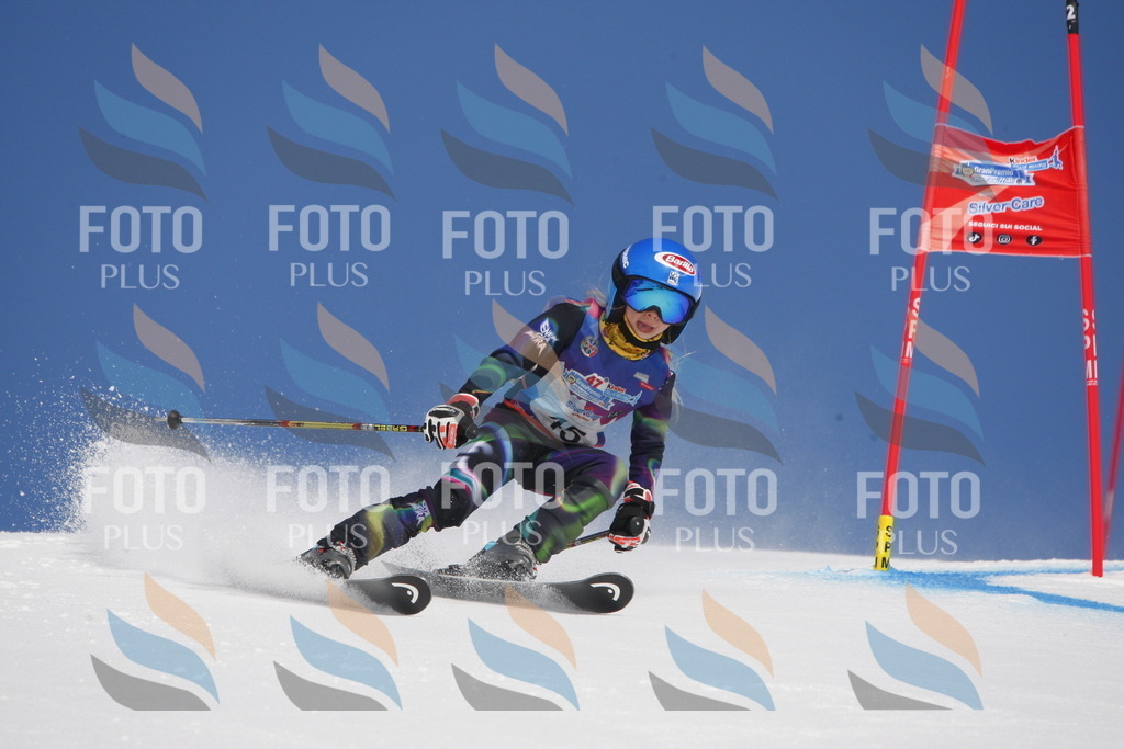 _W1G0648 | holidayphoto