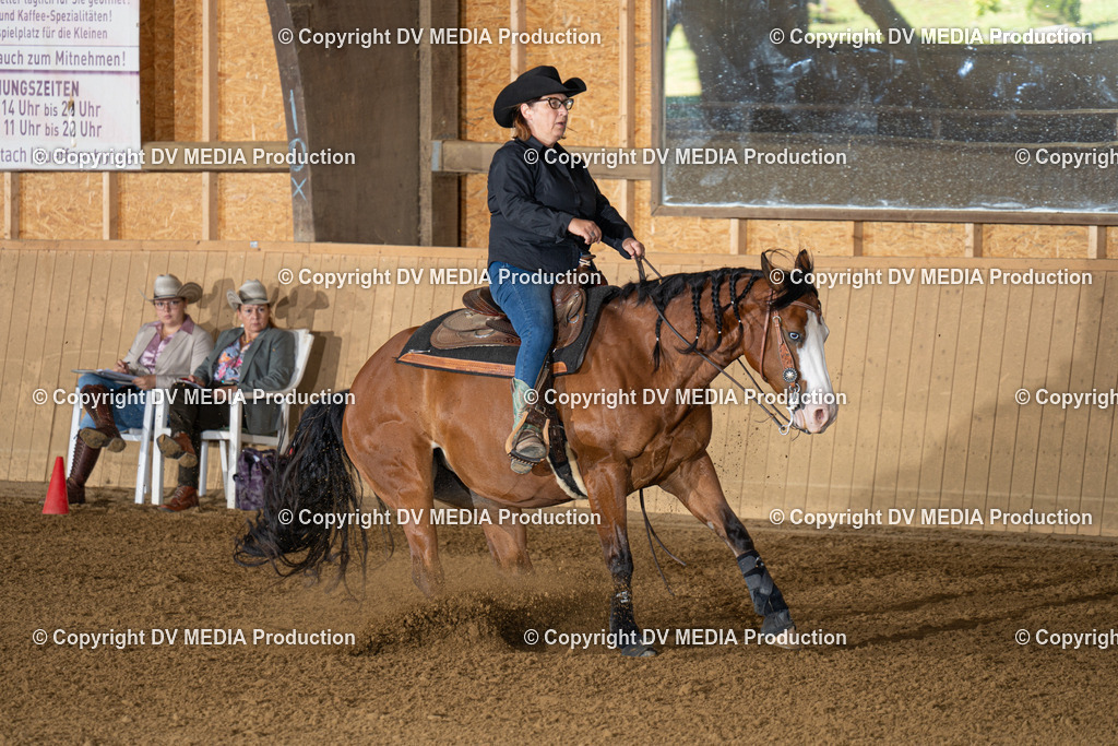 DSC00015 | dv-media-shop - Realisiert mit Pictrs.com