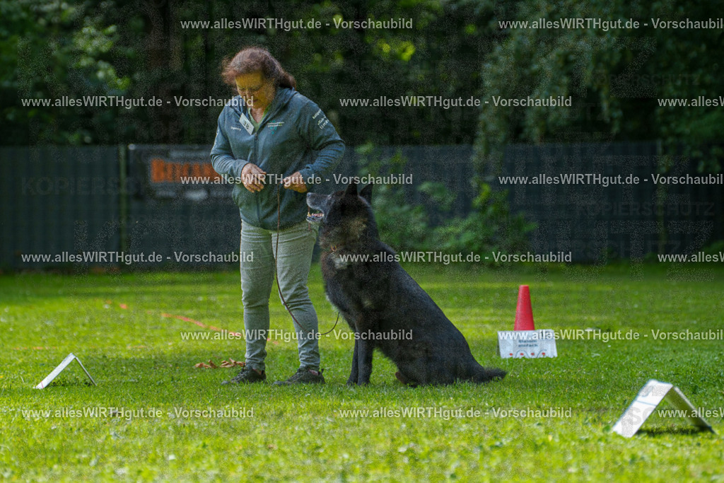 @allesWIRTHgut_Tierfotografie - www.allesWIRTHgut.de - 7R504721 | Professionelle Tierfotografie in Mönchengladbach von Daniel Wirth (allesWIRTHgut). Liebevolle & natürliche Bilder von Hunden & Katzen für unvergessliche Erinnerungen.