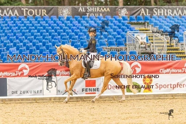 28-8-26 5j DRE-670 | mandyhollmannphotographie