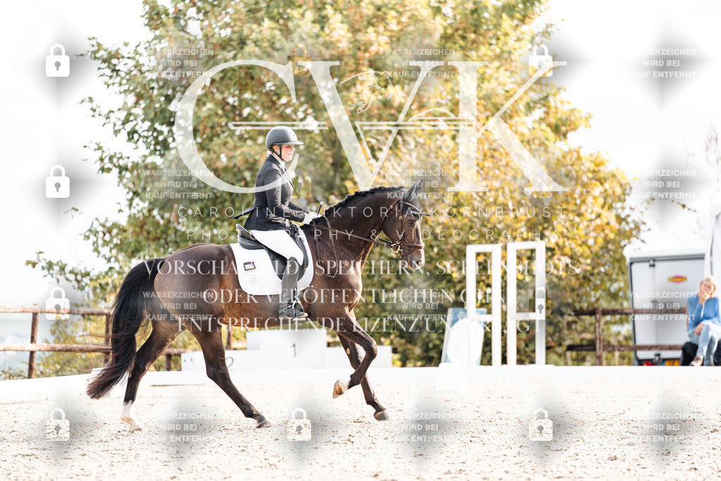 CK901211 | Turnierfotografie Pferdefotografie Trier Rheinland-Pfalz Pferdesport Reitsport Tierfotografie Sportfotografie Pferdevideo Pferdevideografie Equestrianvideography equestrianphotography  - Realisiert mit Pictrs.com