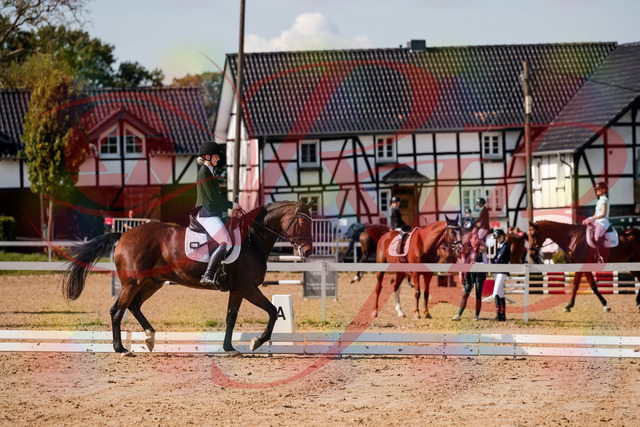 2026_10_03_Siefer-Hof_125534_Z63_62068406 | Professionelle Reitsport-, Turnier- und Eventfotografie von Robert Broda. Galerien mit ausgewählten und bearbeiteten Bildern direkt online ansehen und bestellen.