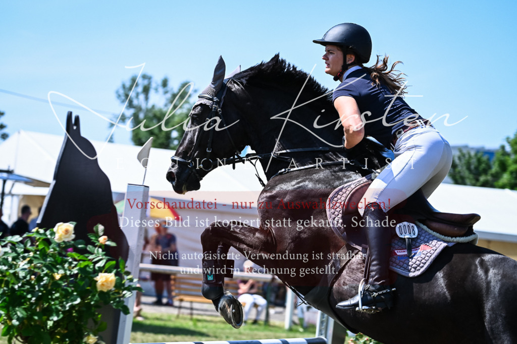 DSC_1053 | Pferde- und Turnierfotografie in Westsachsen. Pferdeportraits, Auftragszeichnungen und intuitive Kunst.