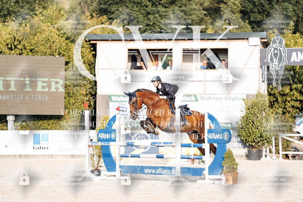CK900908 | Turnierfotografie Pferdefotografie Trier Rheinland-Pfalz Pferdesport Reitsport Tierfotografie Sportfotografie Pferdevideo Pferdevideografie Equestrianvideography equestrianphotography  - Realisiert mit Pictrs.com