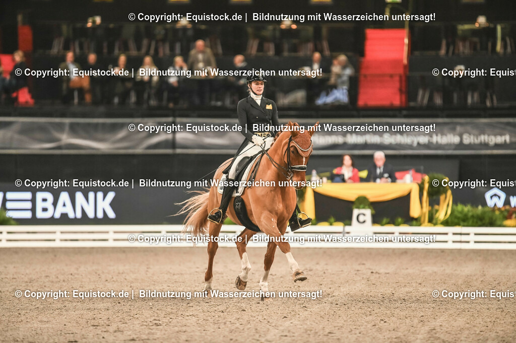 20231115_20_Dressur_Kl-S++_0203_TOMsPiC | Foto: Thomas Hartig
