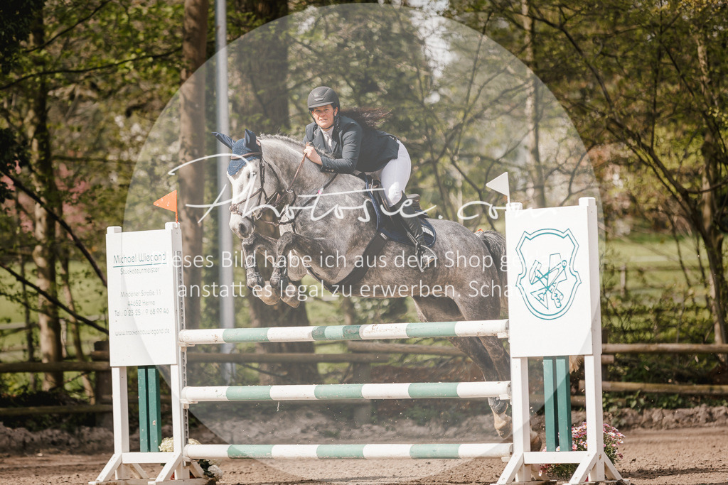 3I6A4232 | Stimmungsvolle Portraits und Reitsportfotografie im Ruhrgebiet und im Münsterland.

Pferdefotografie, Hundefotografie, Tierfotografie, Reportagen, Portraits von Tier und Mensch, Turnierfotografie in Bochum, Recklinghausen, Marl, Haltern am See, Dülmen.. - Realisiert mit Pictrs.com