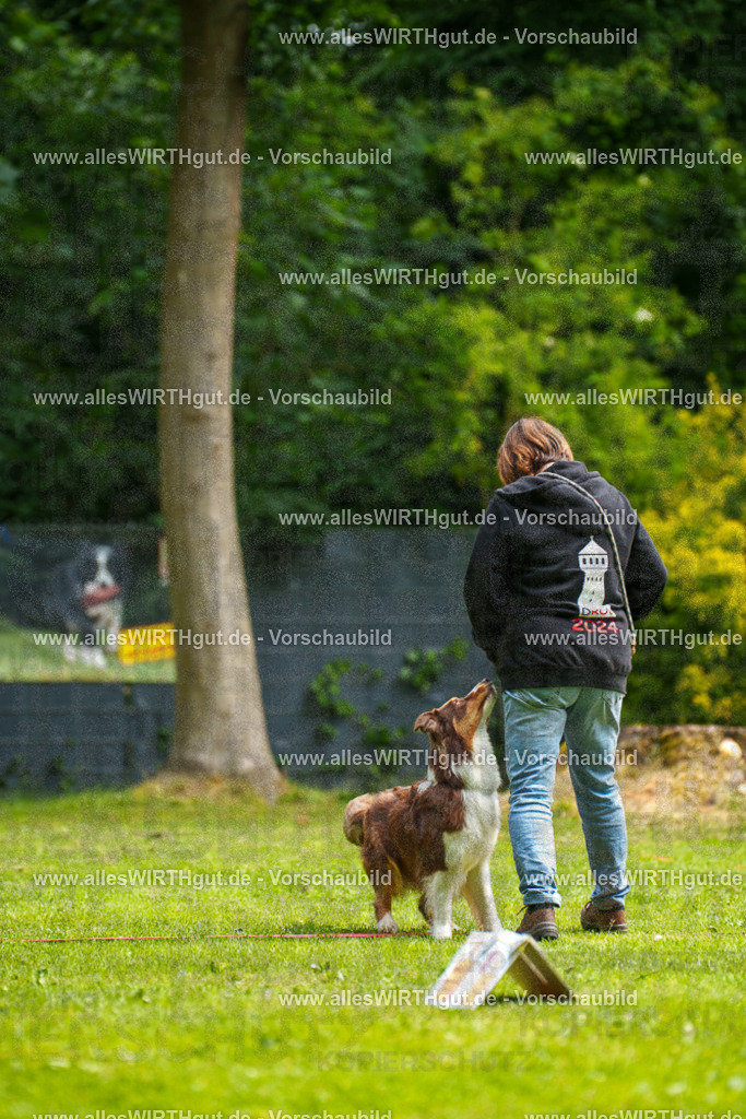 @allesWIRTHgut_Tierfotografie - www.allesWIRTHgut.de - 094727-7R507639 | Professionelle Tierfotografie in Mönchengladbach von Daniel Wirth (allesWIRTHgut). Liebevolle & natürliche Bilder von Hunden & Katzen für unvergessliche Erinnerungen.