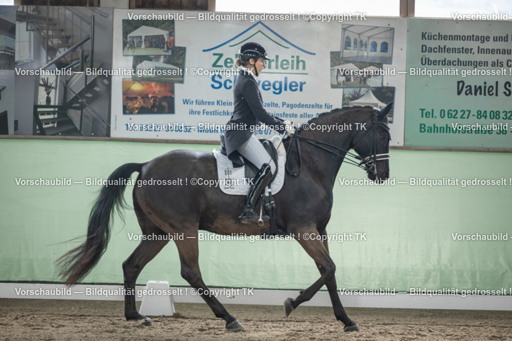 _D5A5357 | Emotionale Pferde- & People-Fotografie rund um Heidelberg, Leimen & Umgebung. Natürliche Fotos von Pferd, Mensch & Familie. Jetzt Termin sichern!