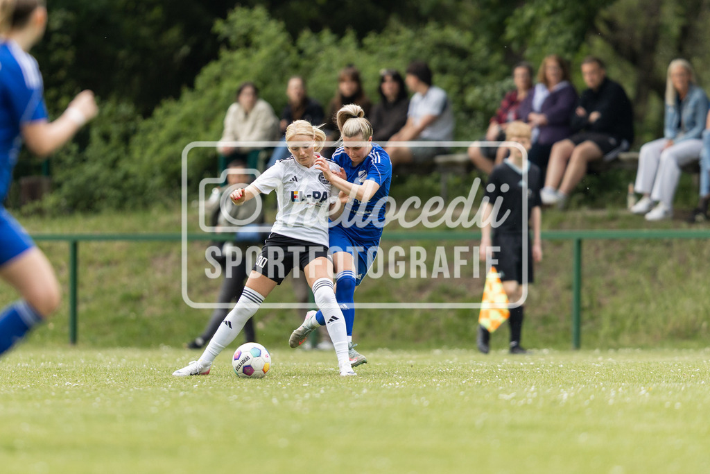 Fußball I Frauen I Saison 2025-2026 I Oberliga Niedersachsen I FC Jesteburg-Bendestorf - BW Hollage I 12772 | realhellocedii - Realisiert mit Pictrs.com