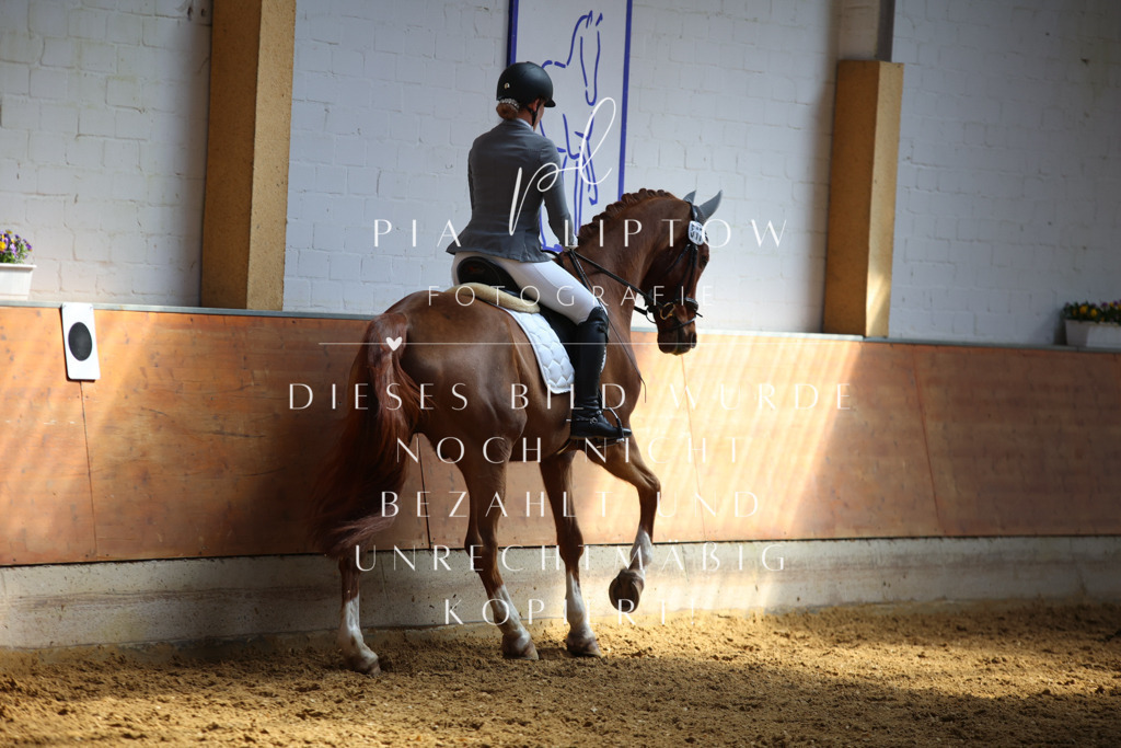 IMGT7384 | pl-fotografie