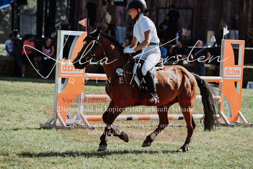 DSC_6174 | Pferde- und Turnierfotografie in Westsachsen. Pferdeportraits, Auftragszeichnungen und intuitive Kunst.