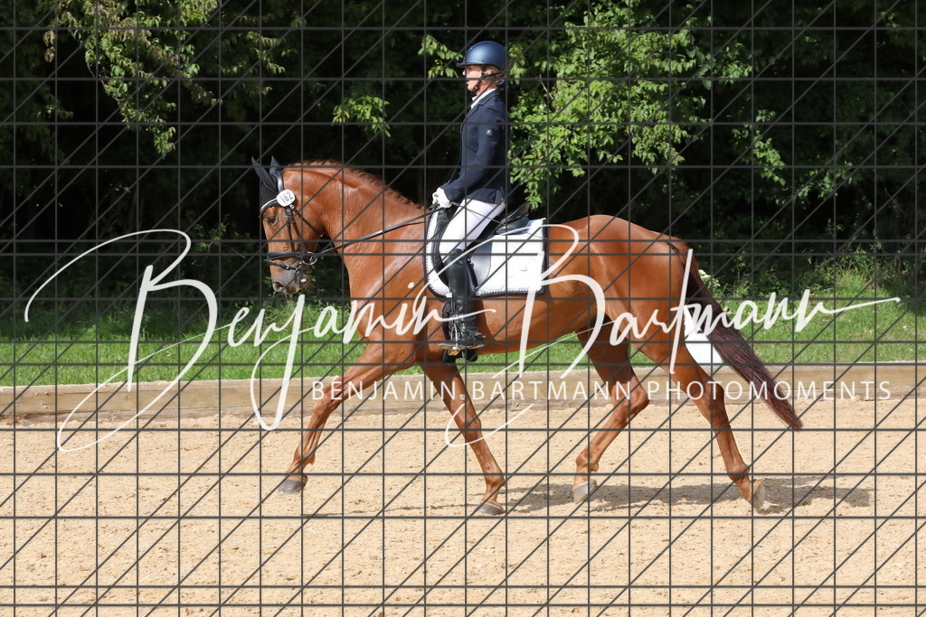 AZ2A2821 | Benjamin Bartmann Photomoments