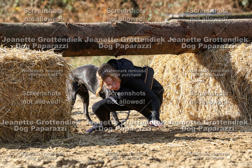 Dog Paparazzi - Strongdog 10-25-4858 | Dog Paparazzi Jeanette Grottendiek Fotografie & Videografie - Realisiert mit Pictrs.com