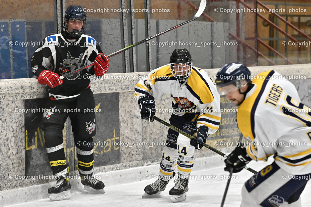 EC Tigers Paternion vs. Tarco Wölfe II | #19 Werner Maximilian Tarco Wölfe II, #14 Tschurnig Daniel EC Tigers Paternion, #15 Rauter Johann EC Tigers Paternion, EC Tigers Paternion vs. Tarco Wölfe II, EC Tigers Paternion vs. Tarco Wölfe II am 19.12.2024 in Spittal an der Drau (Eissportzentrum Spittal), Austria, (Photo by Bernd Stefan)