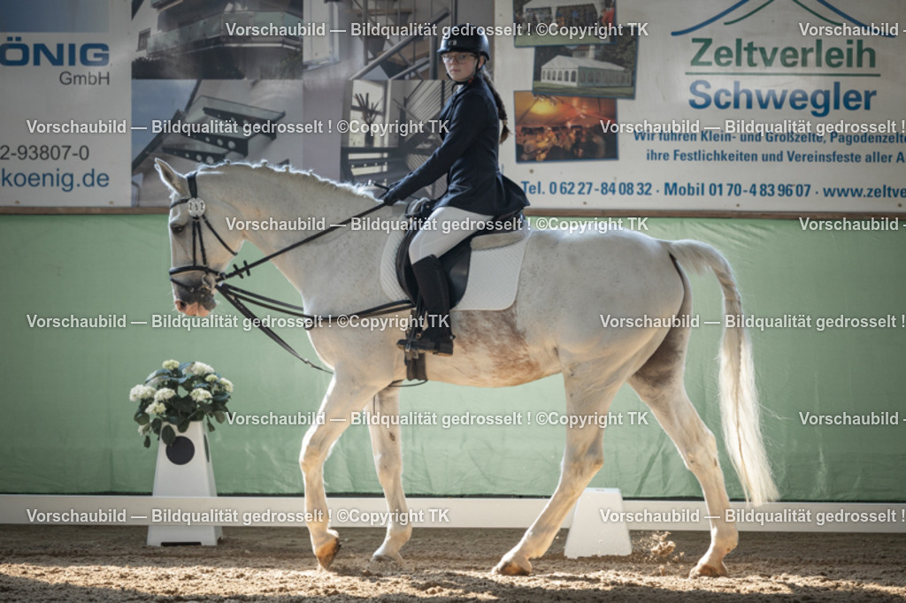 _D5A8680 | Emotionale Pferde- & People-Fotografie rund um Heidelberg, Leimen & Umgebung. Natürliche Fotos von Pferd, Mensch & Familie. Jetzt Termin sichern!