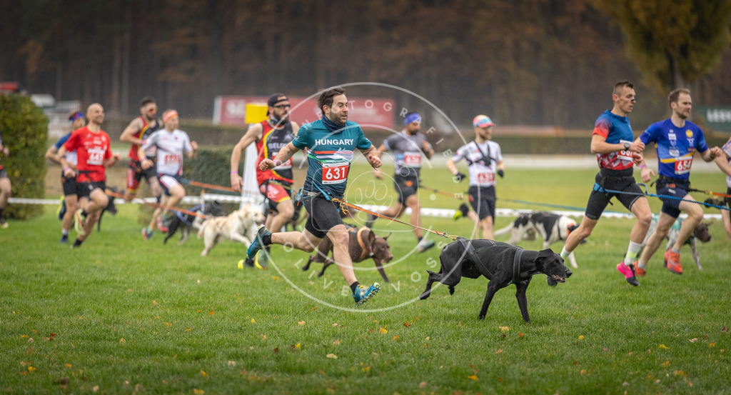 CaniXpix_DV3A9484 | Hundefotografie, Tierfotograf, Pfotenfotografie, Fotoshooting Hund, Hunde Portrait, Hundesport, Hundeportraits, Heideshooting, Hunde, Sportfotograf, Hundefotograf, Turnierhundsport, THS,  - Realisiert mit Pictrs.com