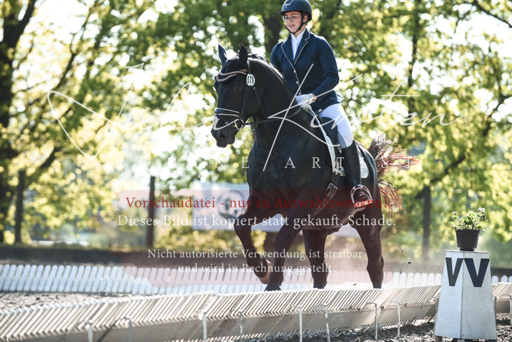DSC_8498 | Pferde- und Turnierfotografie in Westsachsen. Pferdeportraits, Auftragszeichnungen und intuitive Kunst.