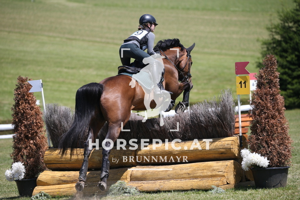 DL2Q1194 | Willkommen bei Brunnmayr - Design & Fotografie – Ihrem Spezialisten für Reitturniere und Pferdeveranstaltungen in Oberösterreich, Salzburg und Bayern! Seit über 17 Jahren sind wir leidenschaftlich dabei.