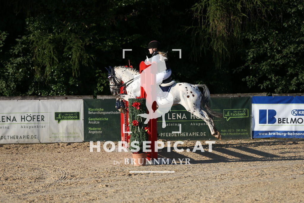 DL2Q7112 | Willkommen bei Brunnmayr - Design & Fotografie – Ihrem Spezialisten für Reitturniere und Pferdeveranstaltungen in Oberösterreich, Salzburg und Bayern! Seit über 17 Jahren sind wir leidenschaftlich dabei.