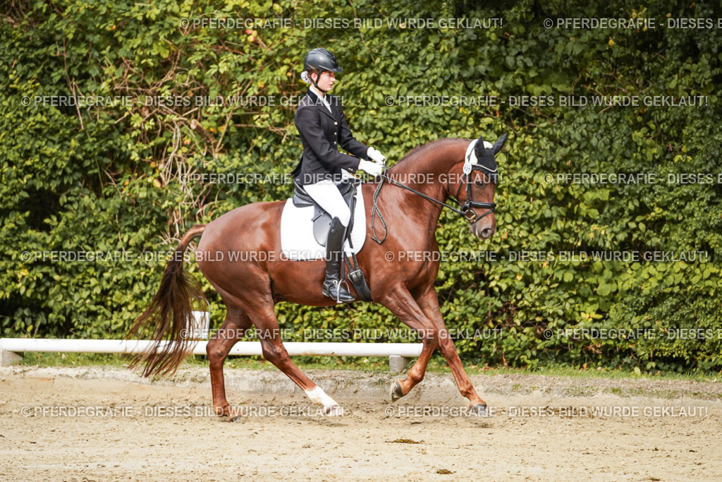 DSC00440 | Pferdegrafie