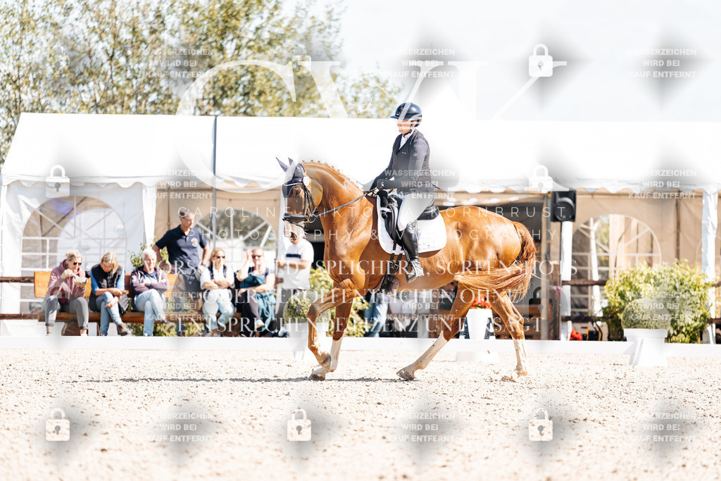 CK903213 | Turnierfotografie Pferdefotografie Trier Rheinland-Pfalz Pferdesport Reitsport Tierfotografie Sportfotografie Pferdevideo Pferdevideografie Equestrianvideography equestrianphotography  - Realisiert mit Pictrs.com