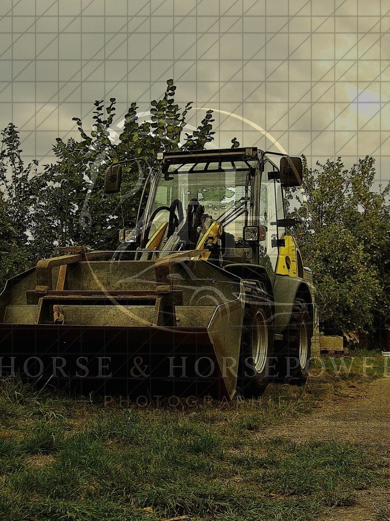 1787851527___ANMP0026 | handhphotographie - Realisiert mit Pictrs.com