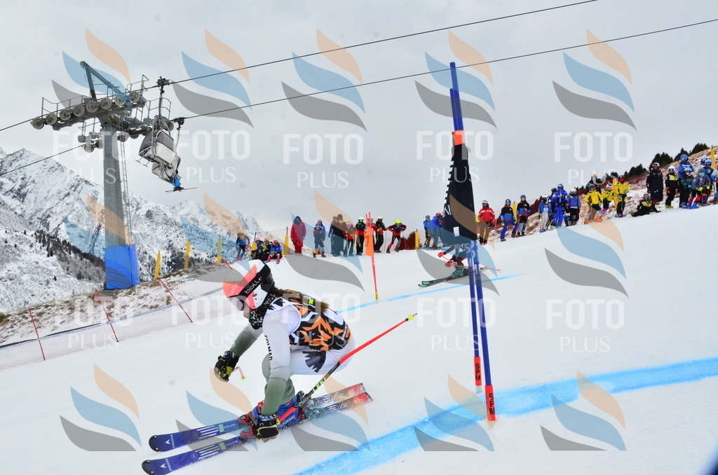 _ELE3182 | holidayphoto