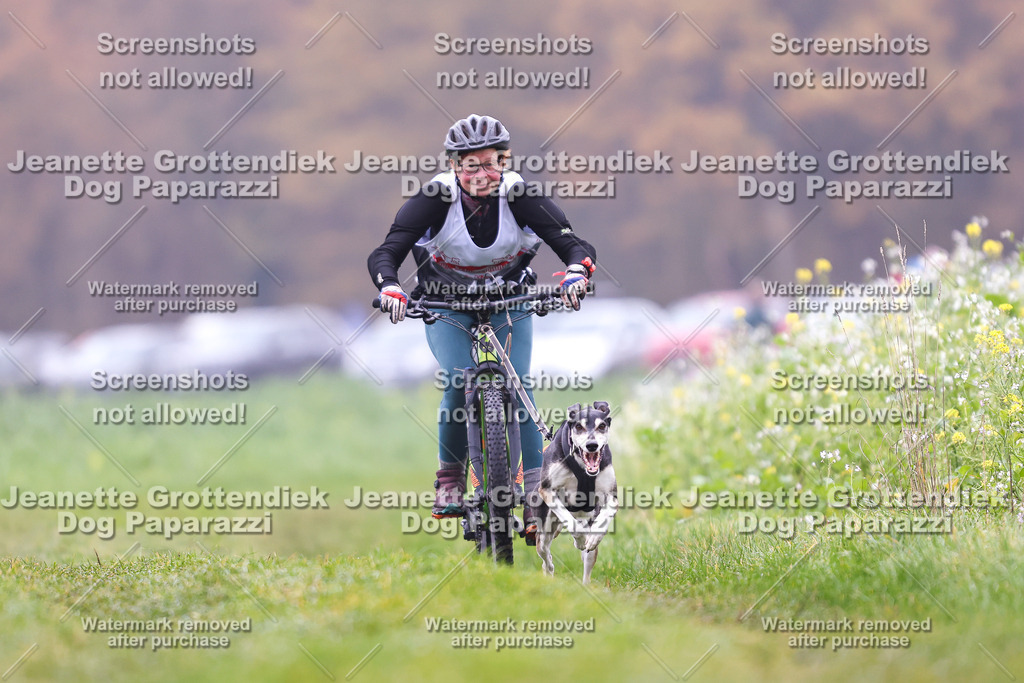 Dog Paparazzi - Visbeck 25 -178 | Dog Paparazzi Jeanette Grottendiek Fotografie & Videografie - Realisiert mit Pictrs.com