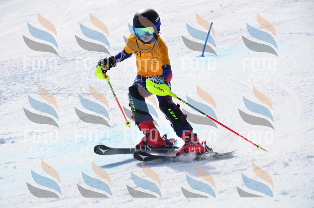 C9854 | holidayphoto