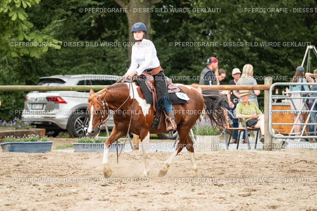 DSC03824 | Pferdegrafie