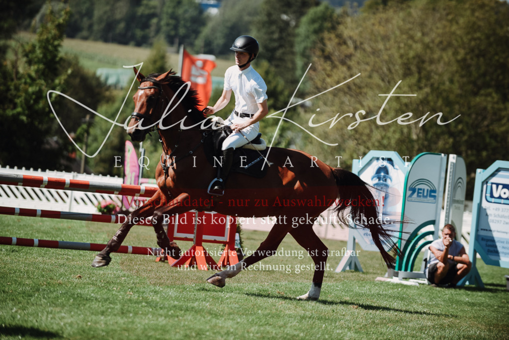 DSC_3153 | Pferde- und Turnierfotografie in Westsachsen. Pferdeportraits, Auftragszeichnungen und intuitive Kunst.