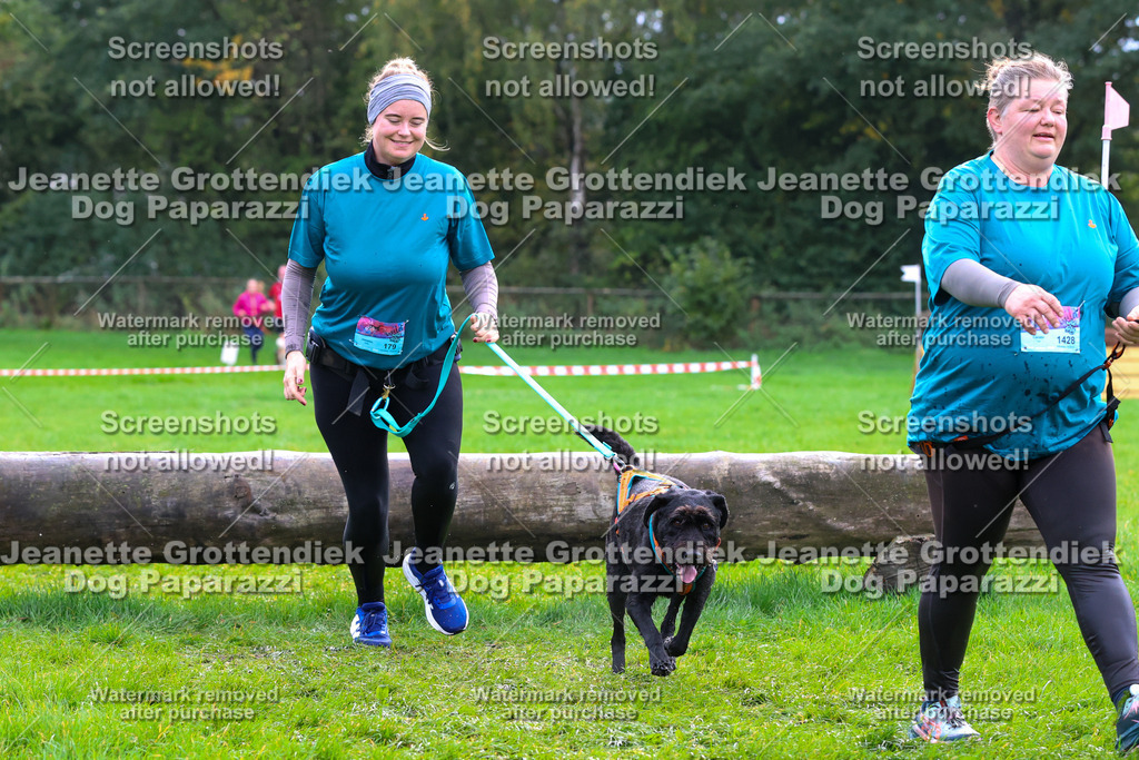 Dog Paparazzi -  SD1026-2155 | Dog Paparazzi Jeanette Grottendiek Fotografie & Videografie - Realisiert mit Pictrs.com