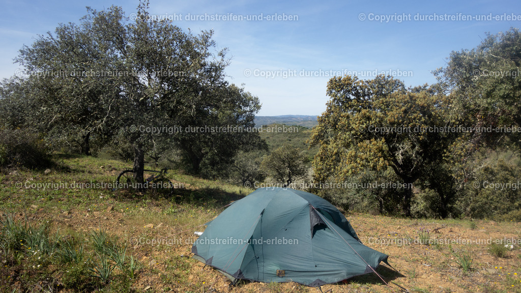 Zelten im Olivenhain, Furnazinhas, Algarve | Zelten im Olivenhain, Furnazinhas, Algarve - Realisiert mit Pictrs.com