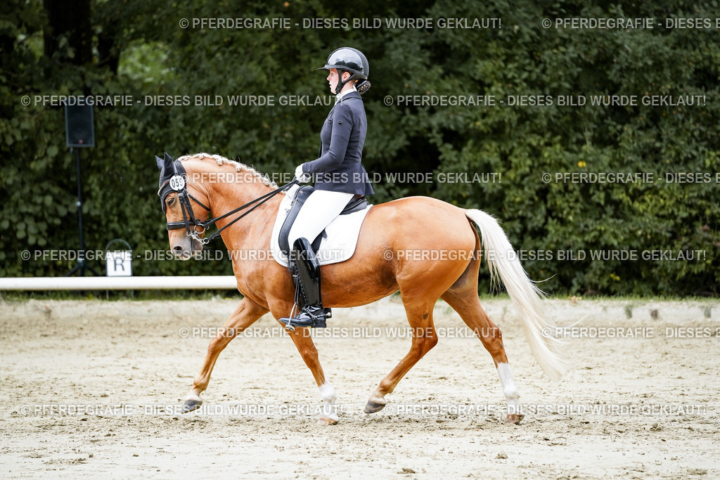 DSC04075 | Pferdegrafie