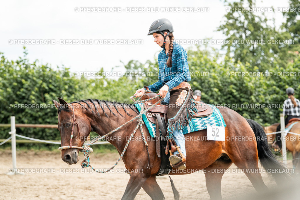 DSC01480 | Pferdegrafie