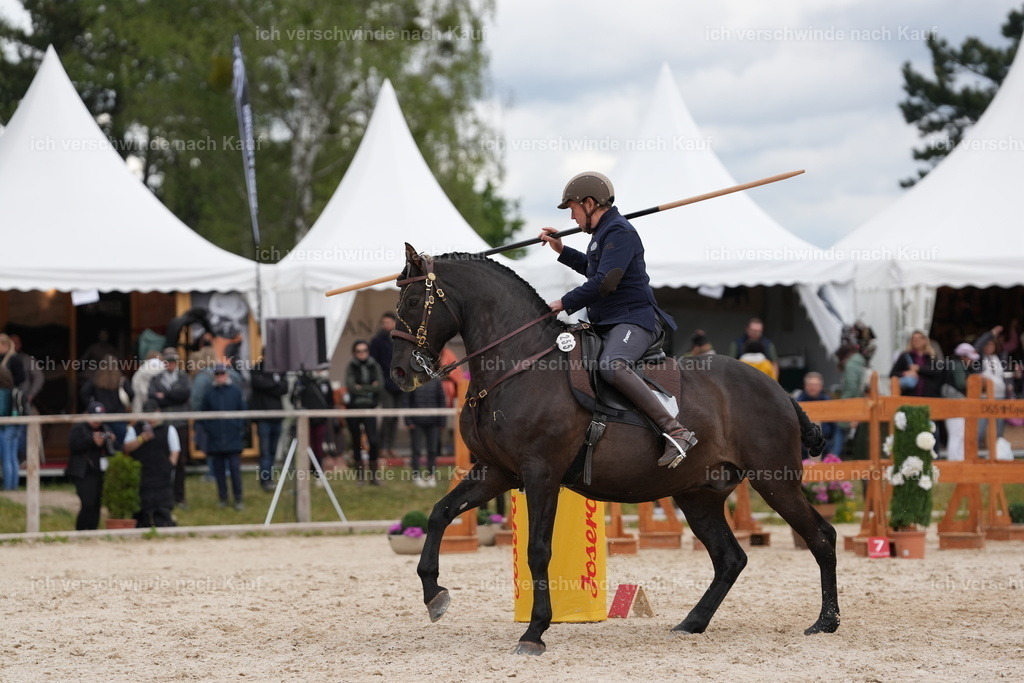 PI26_ST_Jan_Picutures7C_08122.JPG | working equitationturnier fotograf videograf stoibphotography marixx film working equitation deutschland reitsport turnierfotografie eventfotografie equestrian events