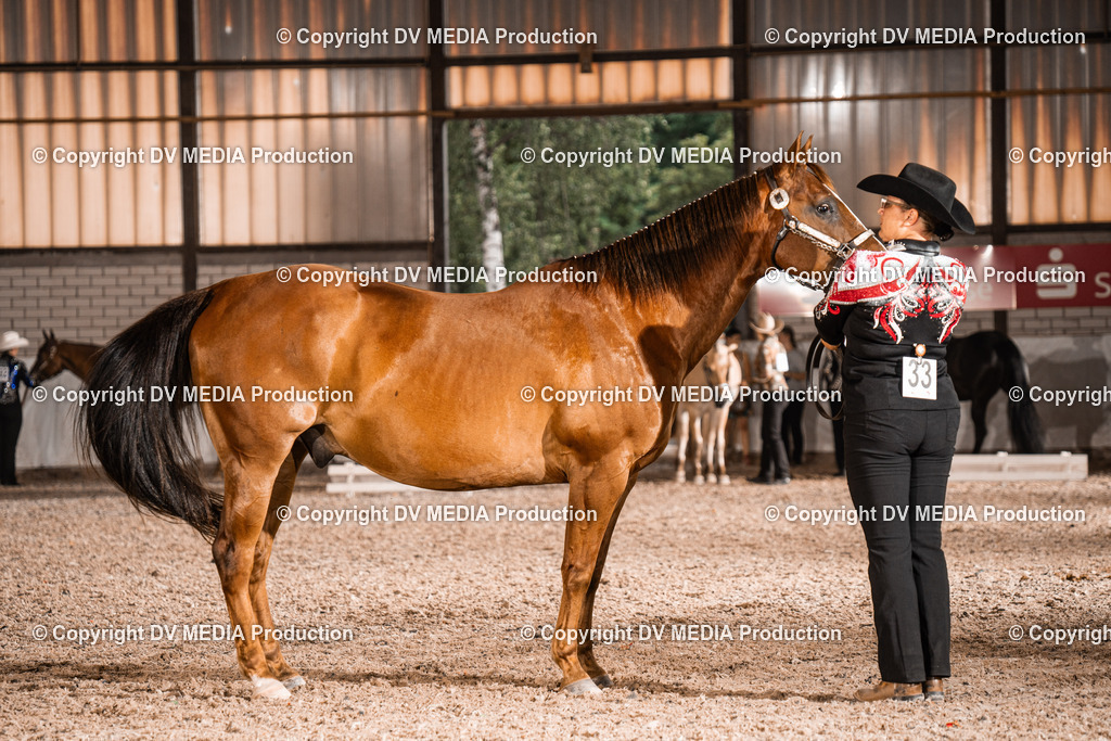 ZH200164 | dv-media-shop - Realisiert mit Pictrs.com