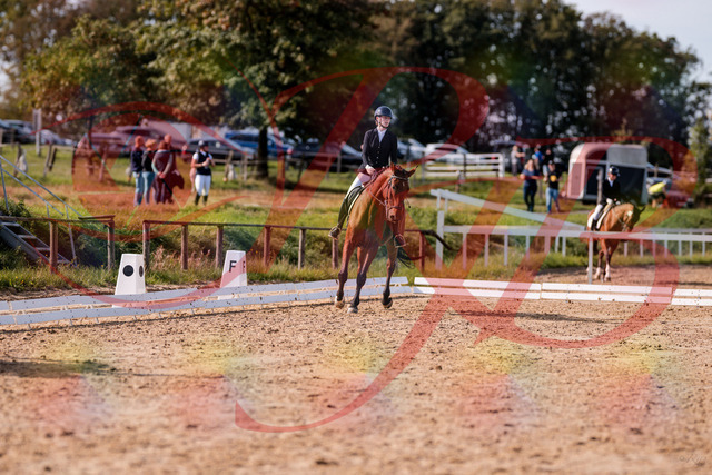 2026_10_03_Siefer-Hof_130720_Z81_58247965 | Professionelle Reitsport-, Turnier- und Eventfotografie von Robert Broda. Galerien mit ausgewählten und bearbeiteten Bildern direkt online ansehen und bestellen.