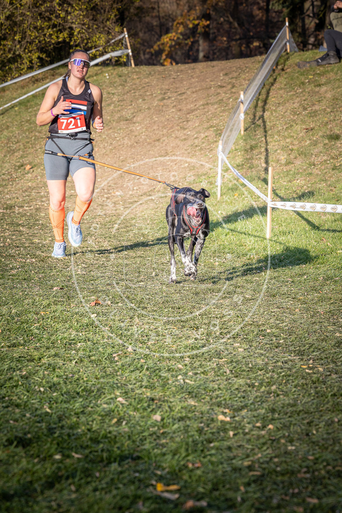CaniXpix_0L8A9676 | Hundefotografie, Tierfotograf, Pfotenfotografie, Fotoshooting Hund, Hunde Portrait, Hundesport, Hundeportraits, Heideshooting, Hunde, Sportfotograf, Hundefotograf, Turnierhundsport, THS,  - Realisiert mit Pictrs.com