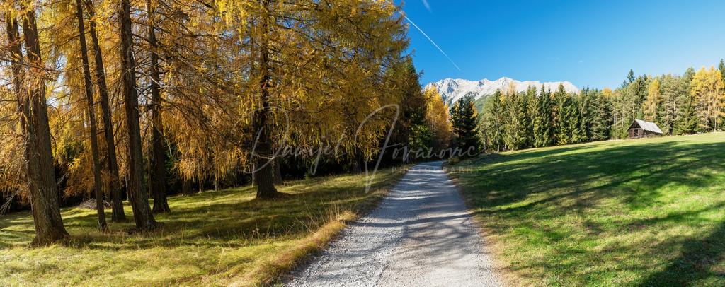 Mieming | Herbst am Mieminger Plateau