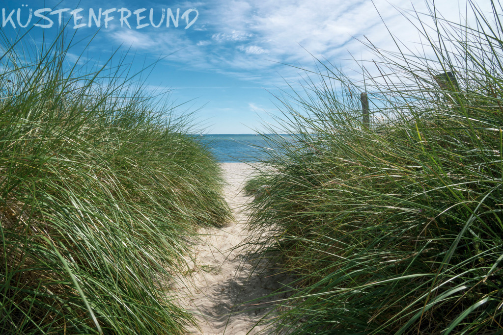 Düne mit Ostsee Strand // Meer Bilder | Entdecke deine Lieblingslandschaft von der Küste – auf Ostsee Leinwand, Nordsee Leinwand, Alu Dibond oder Acrylglas, passend für jeden Geschmack und Raum.