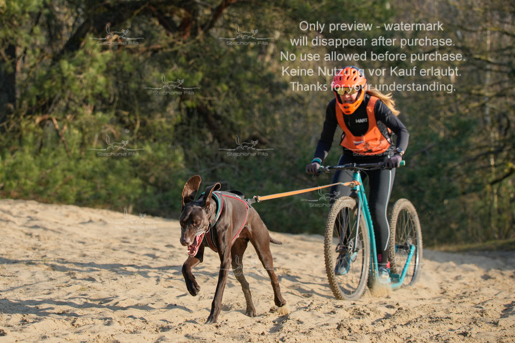 So_Scooter-100 | stephaniefillaphotographie - Realisiert mit Pictrs.com