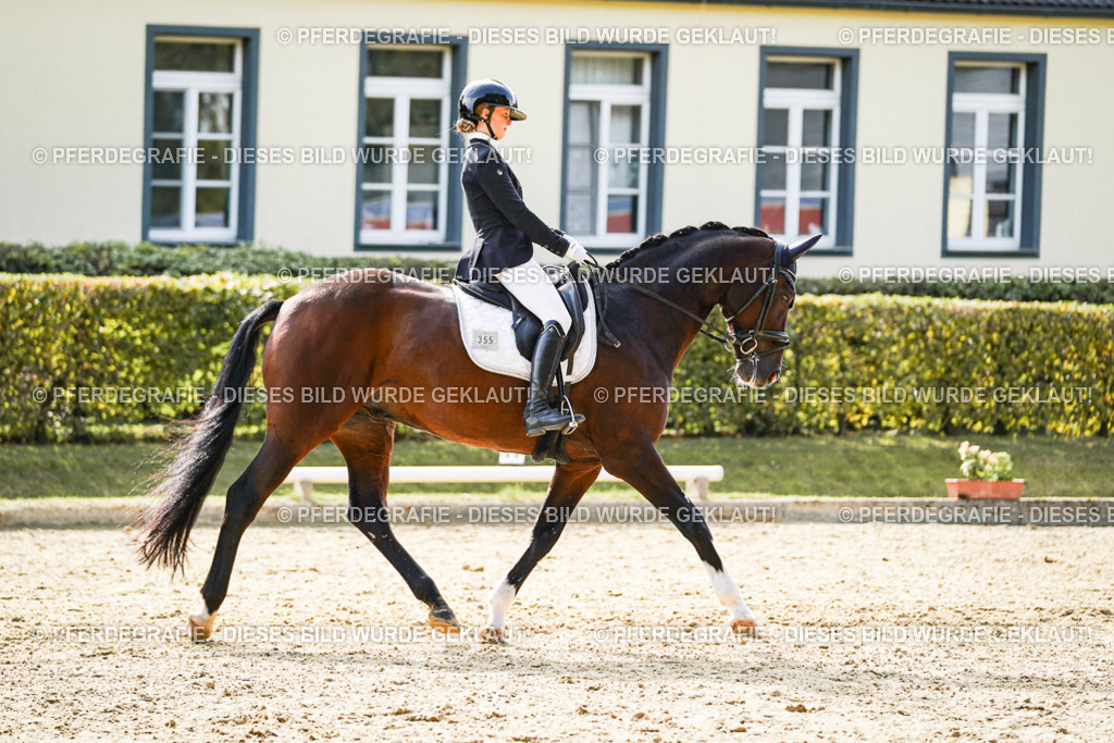 DSC08841 | Pferdegrafie