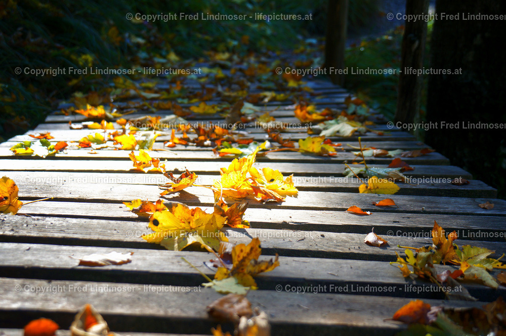 Greimelgraben_DSC02122 | Fotos und Fotoprodukte - Realisiert mit Pictrs.com