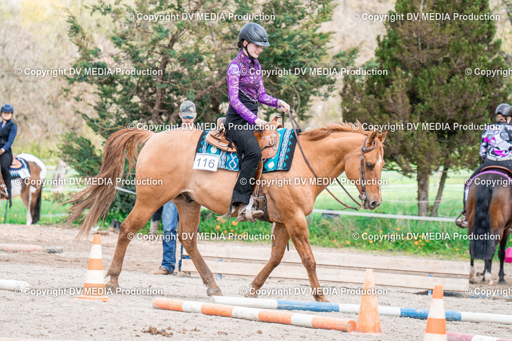 BAL02511 | dv-media-shop - Realisiert mit Pictrs.com