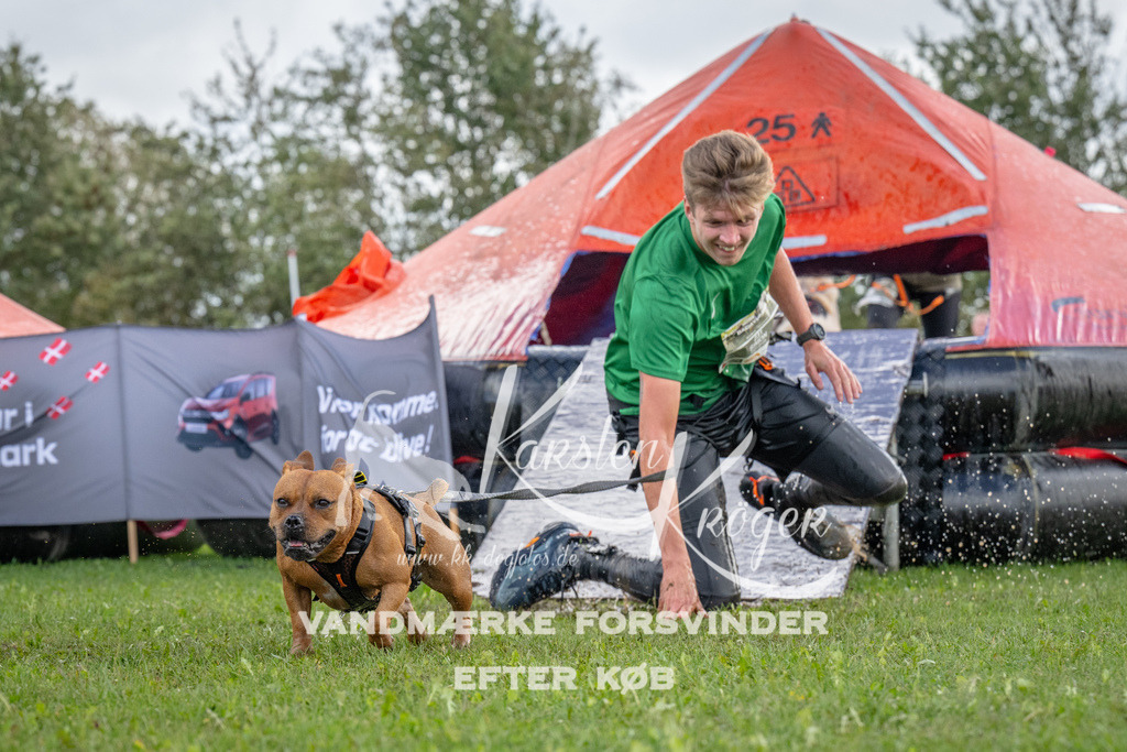1223-93598 | kk-dogfotos