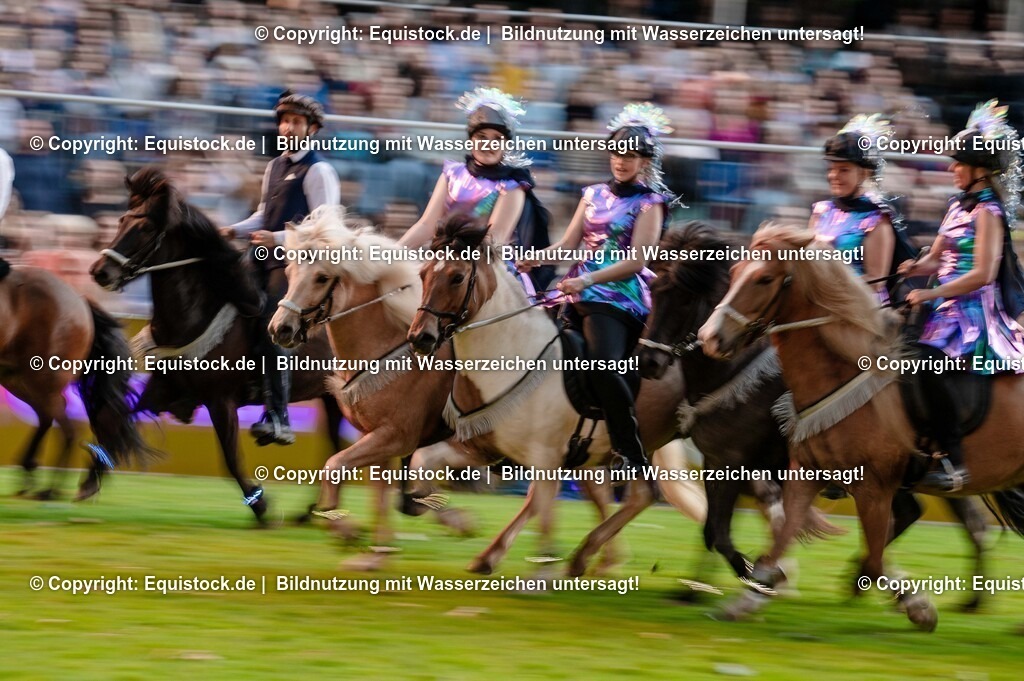 20250606_Lange-Pferdenacht_0934 | Foto: Thomas Hartig